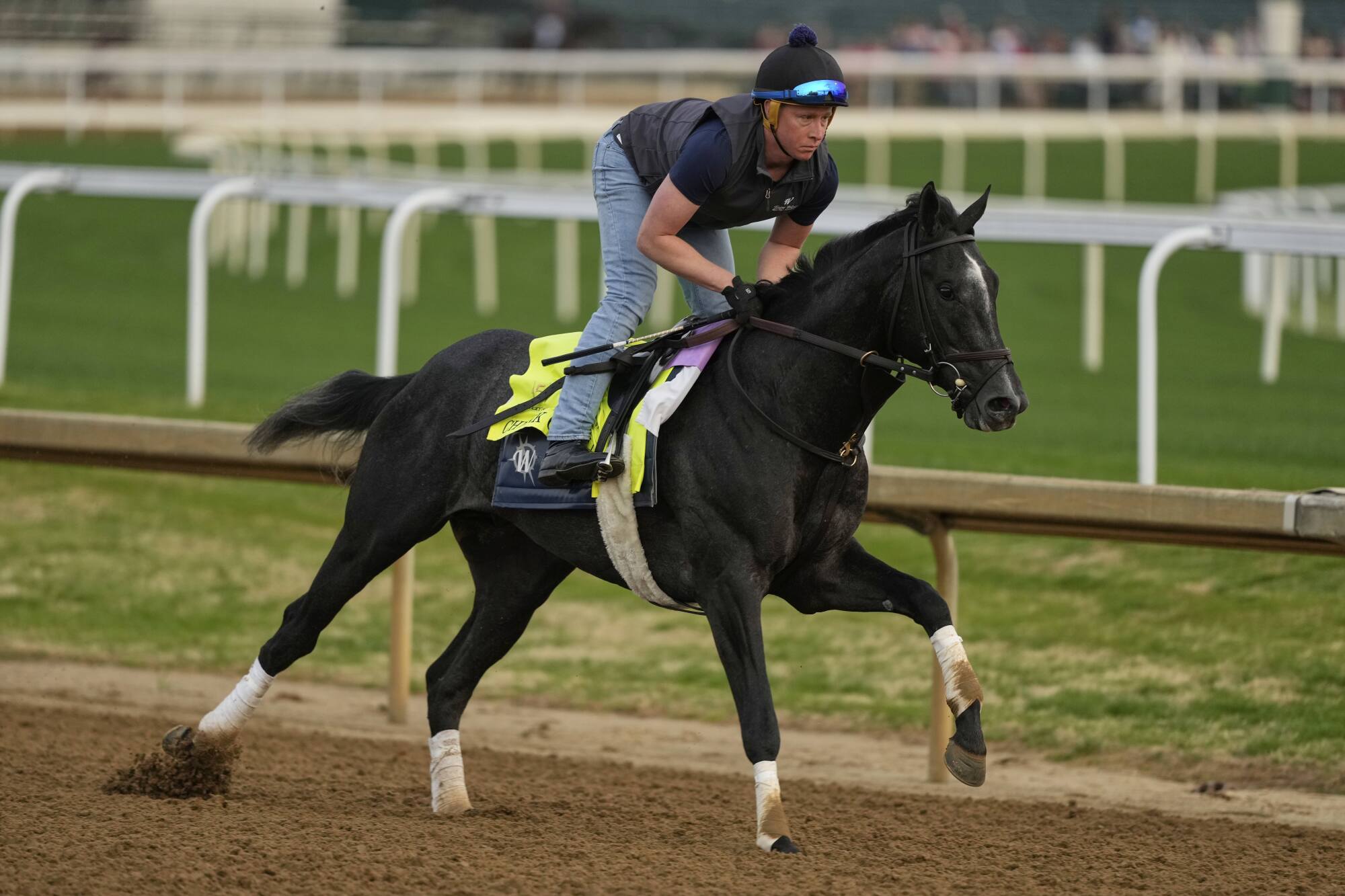 Kentucky Derby entrant Chunk of Gold works out at Churchill Downs on Tuesday.