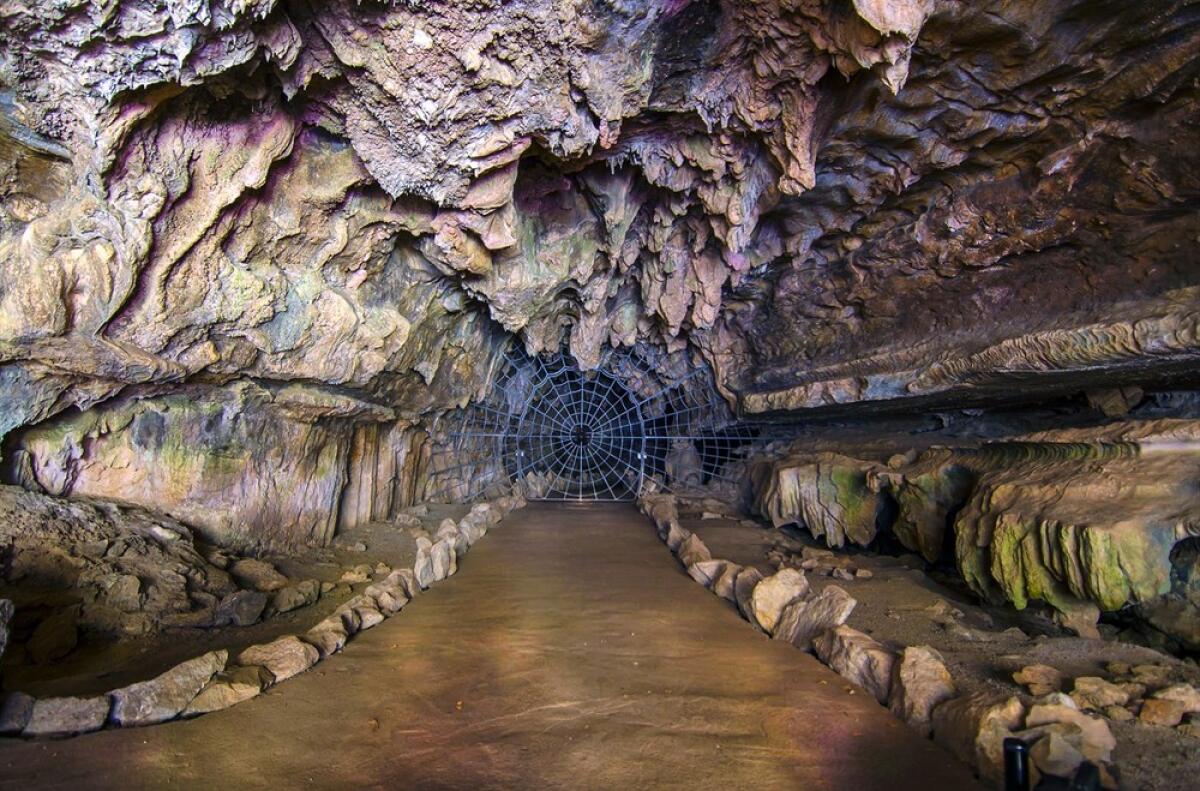 Visitors will walk through intricate passageways.