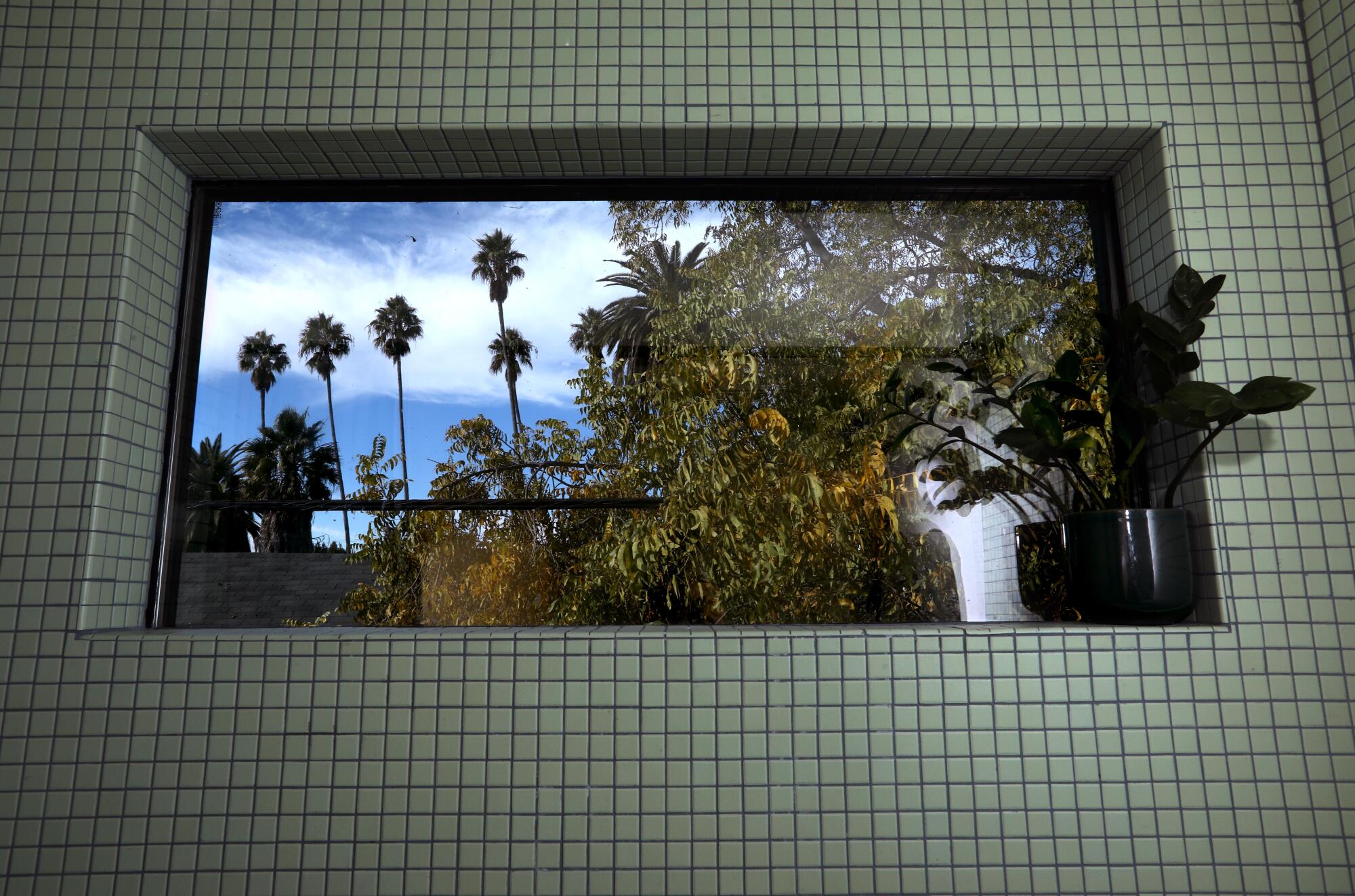 A tiled wall with a window that looks to an outdoor view of palm trees and sky with puffy clouds