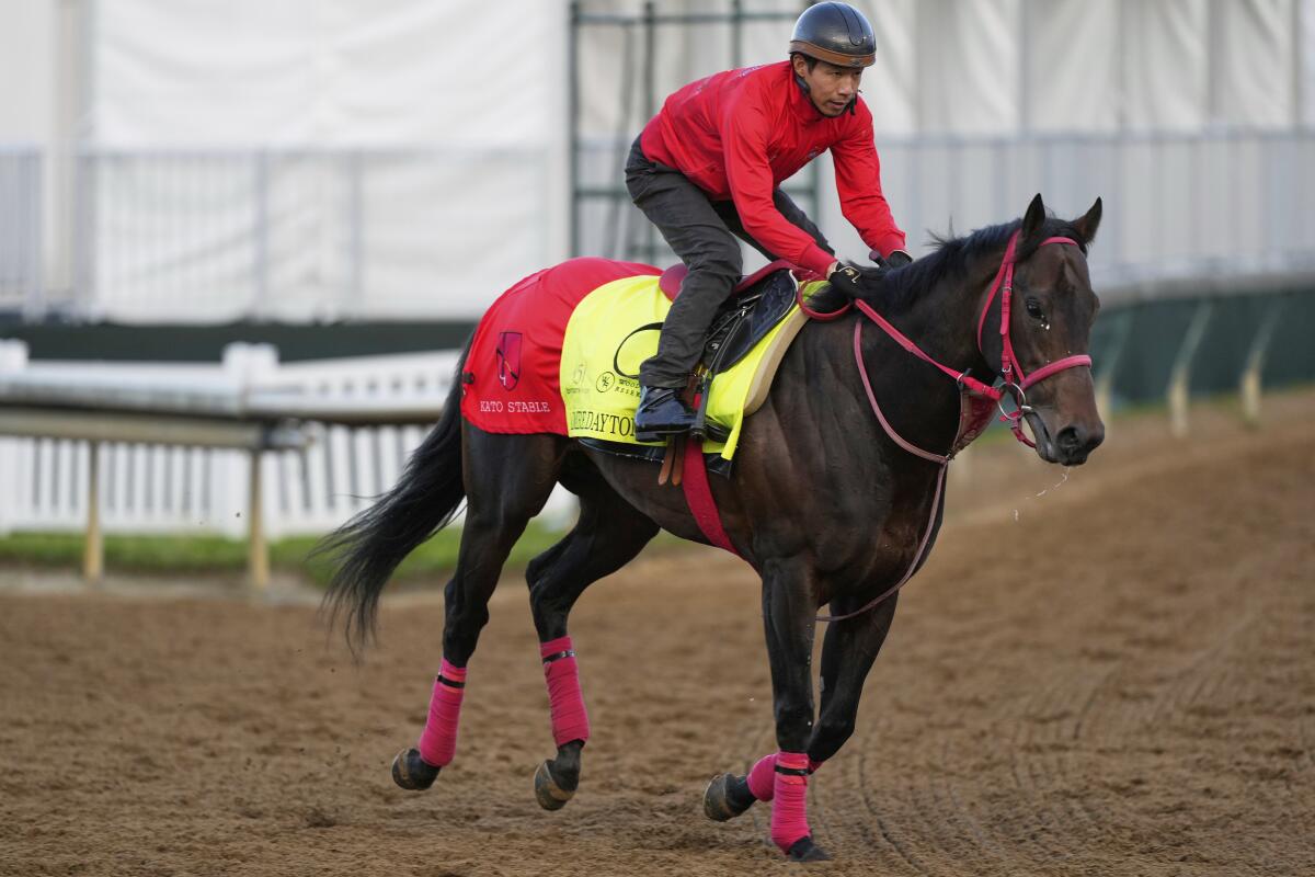 Kentucky Derby hopeful Admire Daytona works out at Churchill Downs Monday in Louisville, Ky.