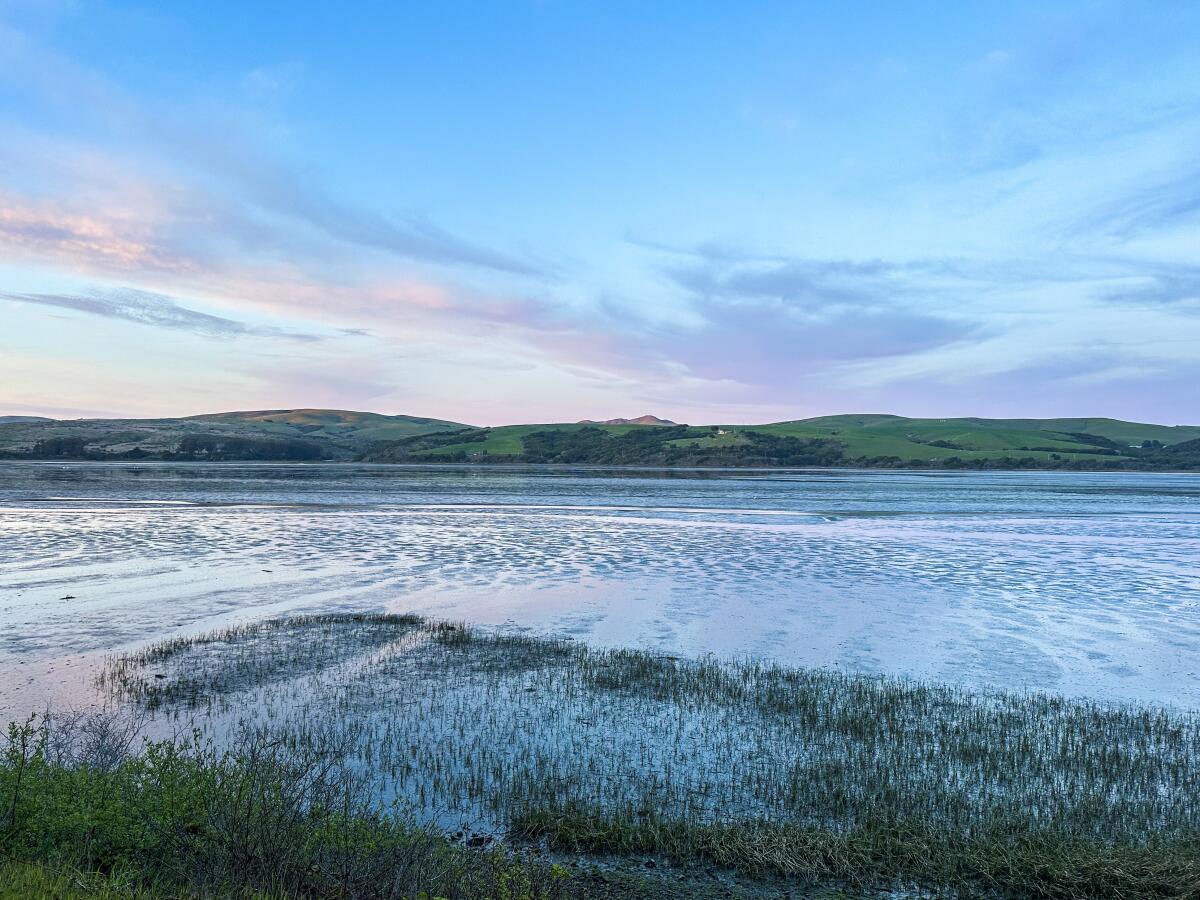 The view over Tomales Bay at sunset across the street from Saltwater Oyster Depot in Inverness, Calif.