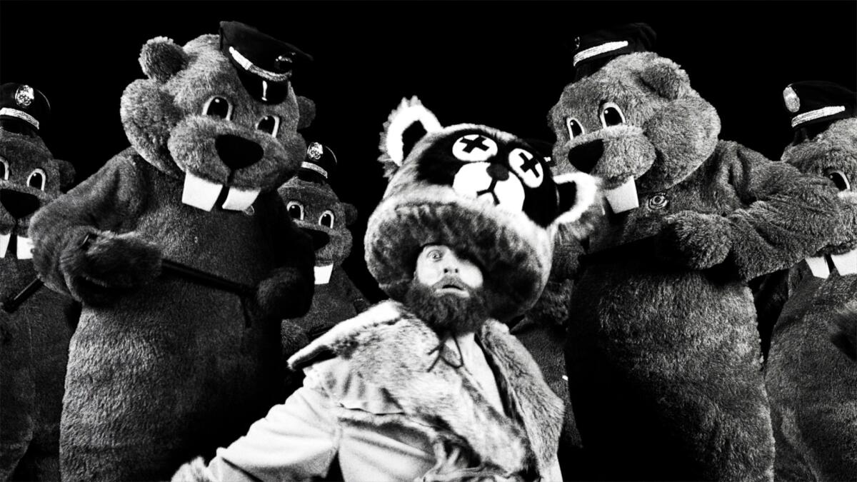 A trapper is surrounded by large beavers.
