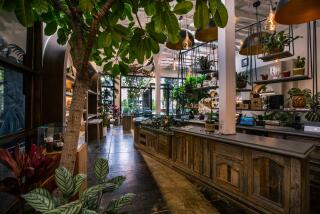 A wooden cannabis dispensary counter with houseplants on ther shelves behind it.