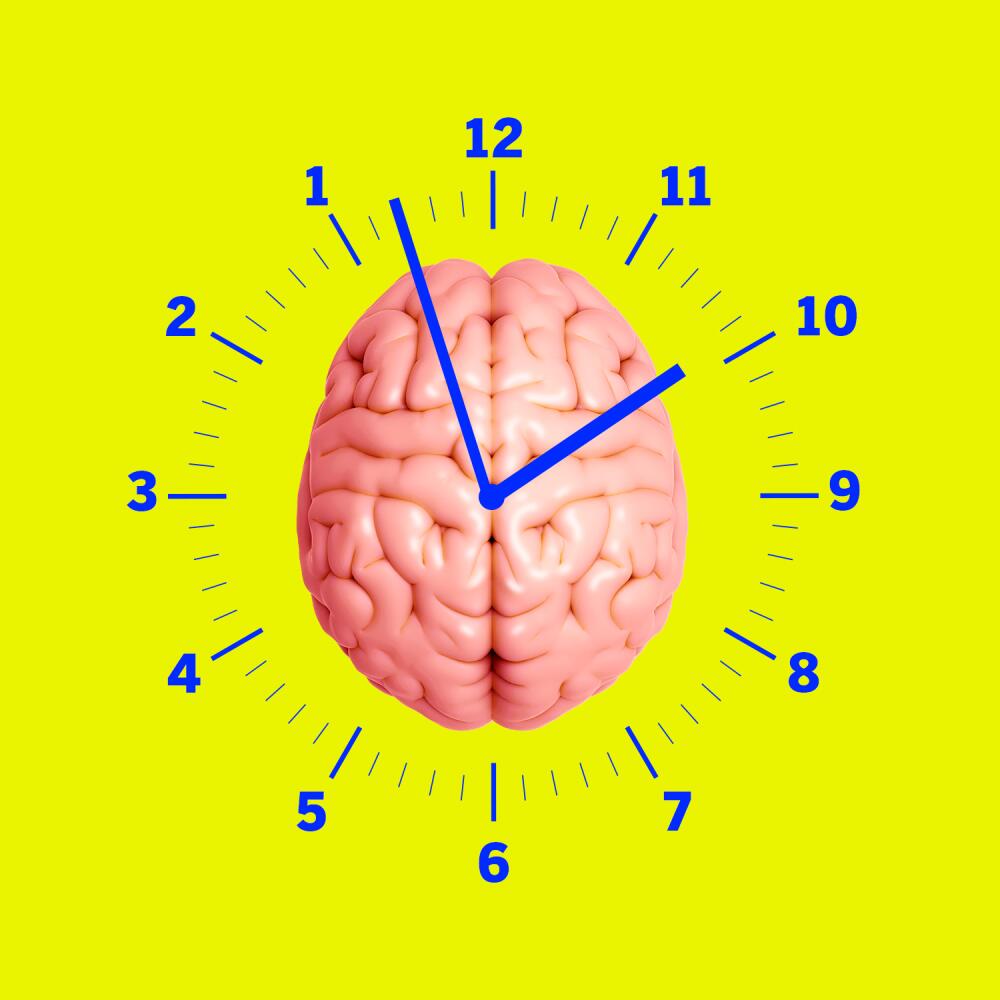 A brain at the center of a clock with numbers counting backward.